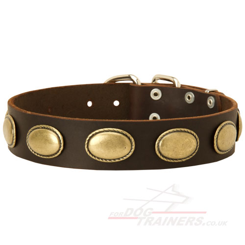 Designer Dog Collar with Vintage Retro Decoration