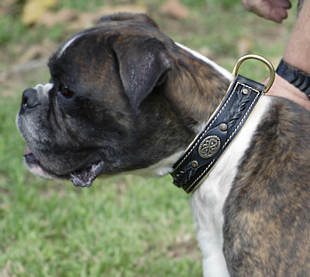 handmade dog collar fr Boxer dog breed