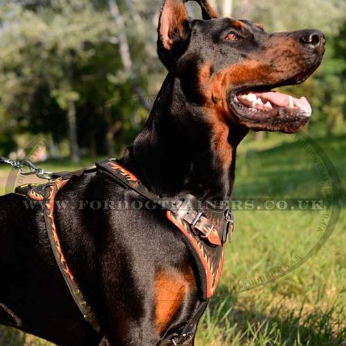 Designer Dog Harness for Doberman | Leather Dog Harness "Flame"