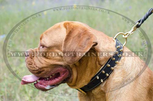 Dog De Bordeaux Leather Dog Collar | Dog De Bordo Collar Spiked