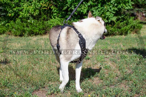 Handmade Luxury Dog Harness with Glancing Studded Design