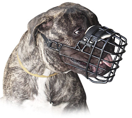 Bullmastiff Muzzle, Rubber-Coated Wire | Muzzle for Bullmastiff - Click Image to Close