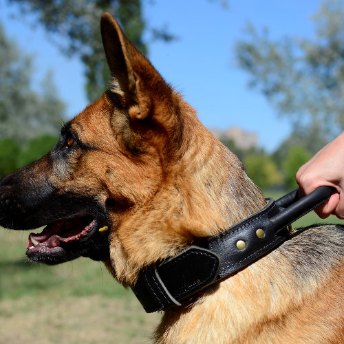 2 Ply German Shepherd Collar UK | Dog Collars for German Shepherd - Click Image to Close
