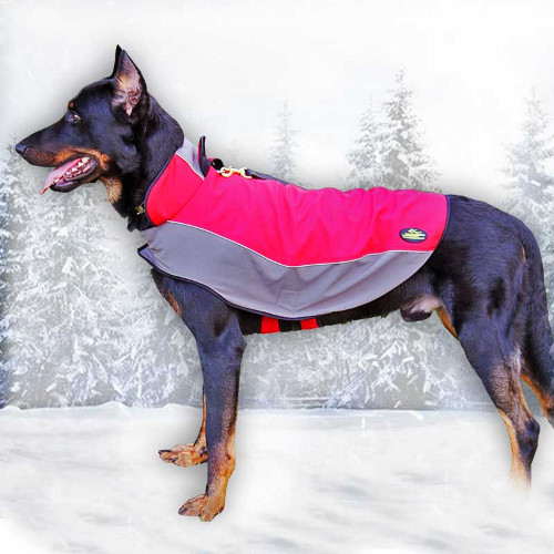 Dog Jacket for Belgian Shepherd - Malinois