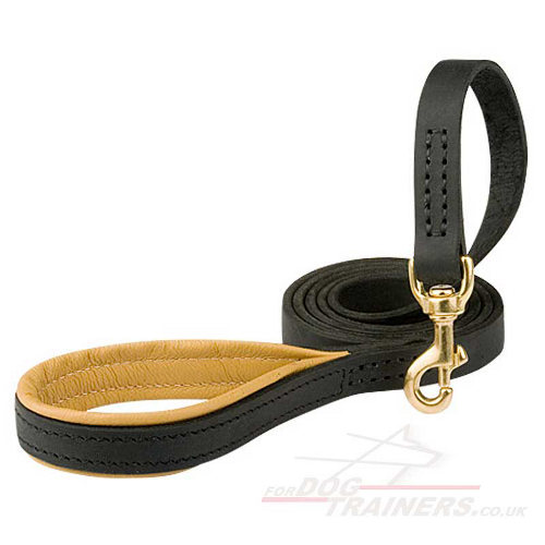 Leather Dog Leash with Padded Handle for Dog Training & Walking - Click Image to Close