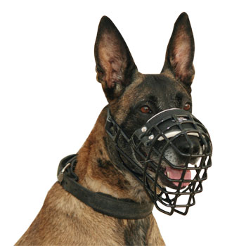 Malinois Dog Muzzle Basket Covered with Black Ruber - Click Image to Close