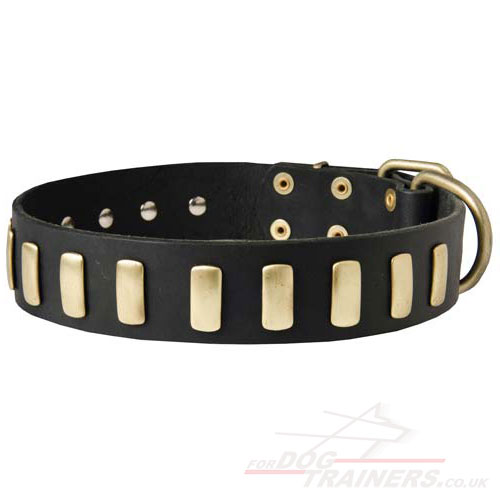 Fancy Dog Collar Leather, Brass Plated