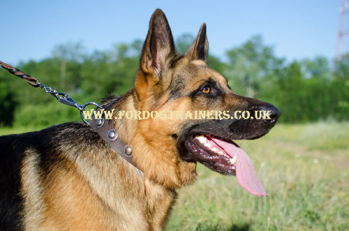 Beautiful German Shepherd Collars With Silver Conchos