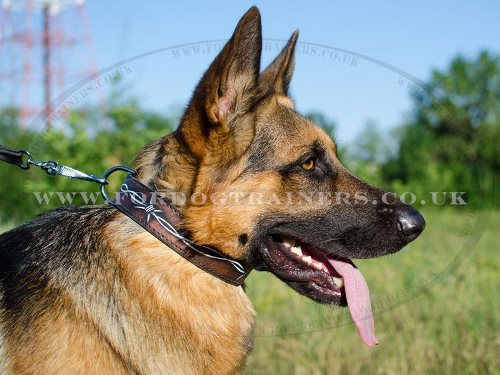 Hand Painted German Shepherd Leather Collar for Big Dogs