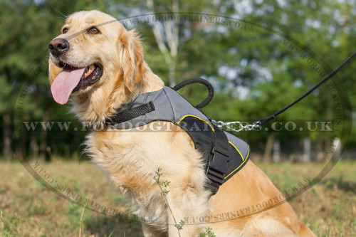 Warm Golden Retriever Jacket for Dog Walking in Winter & Support