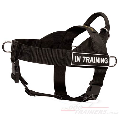 K9 Dog Harness No Pull Front Clip to Stop Pulling Running - Click Image to Close