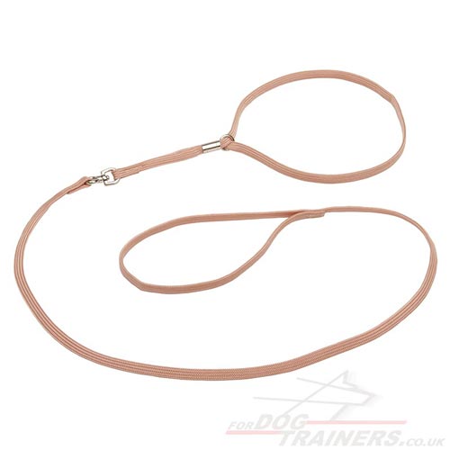 Amazing Set of Dog Collar and Leash Combo in Tan Color
