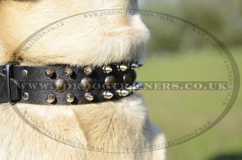 Labrador Collars Spiked Leather Design | Labrador Walking Collar