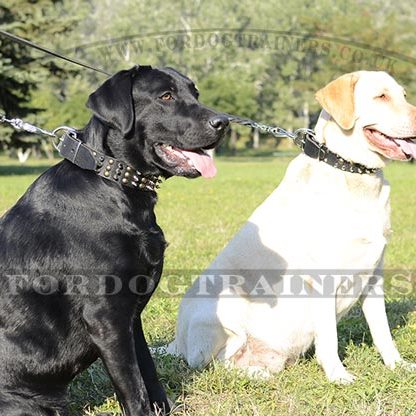 Hand Made Spiked Dog Collar for Labrador Retriever Smart Style