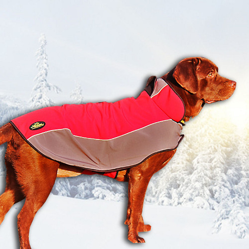 Labrador Dog Clothes