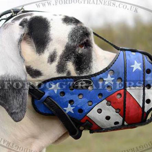 Large Dog Muzzle for Great Dane, Painted | Great Dane Muzzle K9