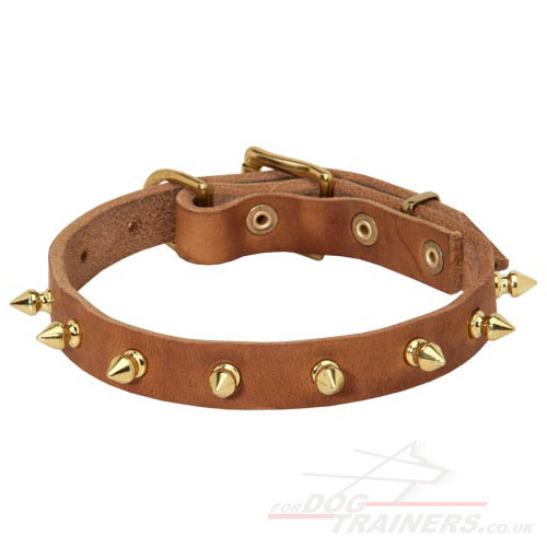Spiked Leather Dog Collar | Small Dog Collar