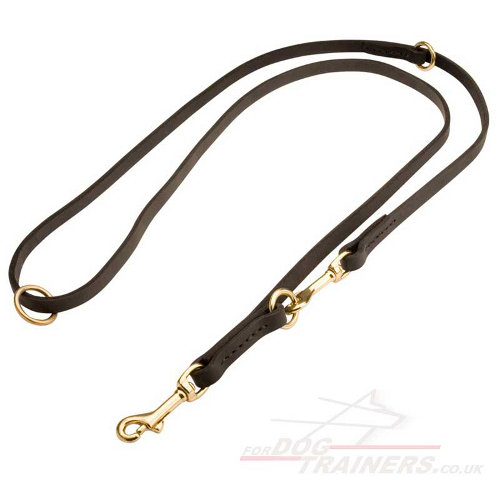 1/2" Double Ended Leather Dog Lead 2 Clips Design - Click Image to Close