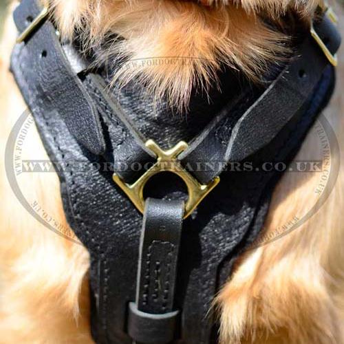 Dog Harness of the Best Design of Natural Leather for Retriever