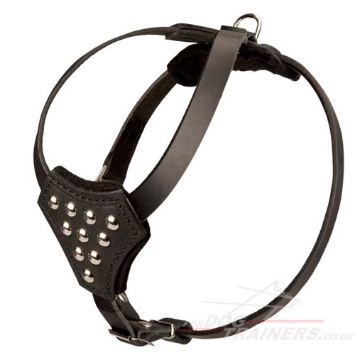 Best Small Dog Harness for Walking with Rivets - Click Image to Close