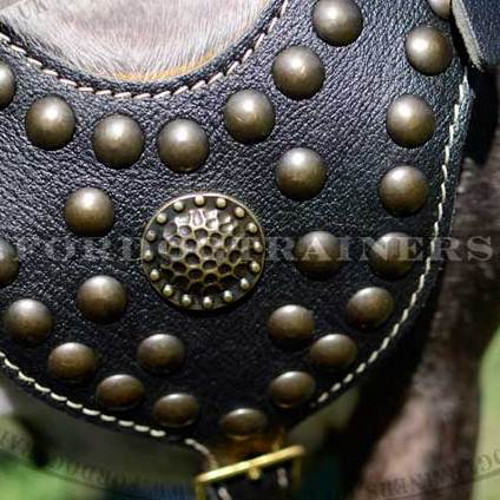 Soft Dog Harness with Brass Studs Royal Design