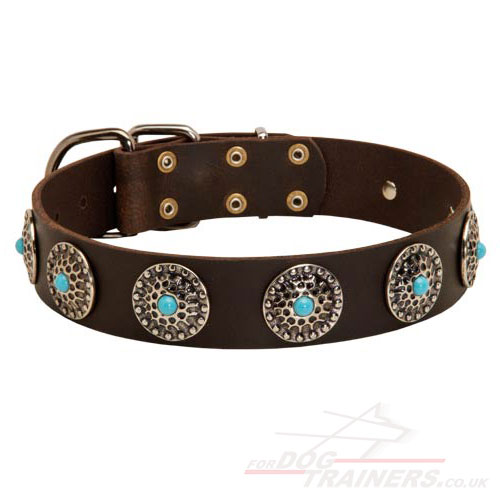 Modern Dog Collar with Blue Stones | Leather Dog Collar