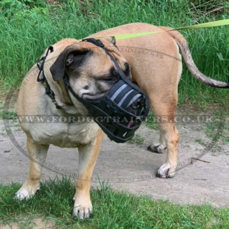 Padded Leather Dog Muzzle for Bullmastiff Muzzle Size