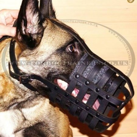 Strong and Soft Leather Dog Muzzle UK Bestseller