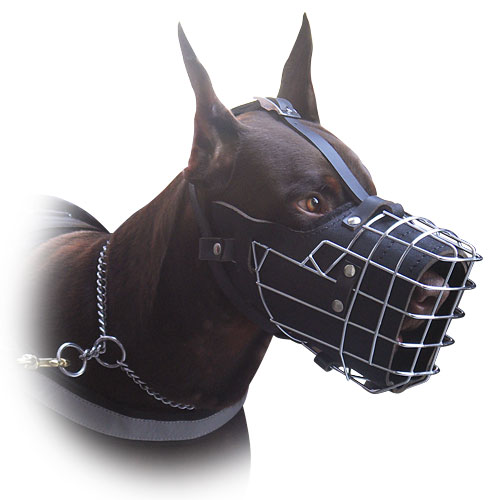 K9 Doberman Muzzle Padded Wire Basket - Click Image to Close