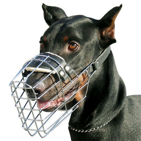 Dog Muzzle UK Bestseller | Doberman Muzzle Best Choice - Click Image to Close