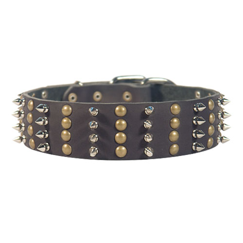 2 inch Wide Collar for Dogs with Spikes and Studs