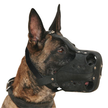 Malinois Muzzle for K9 Dogs | Hard Leather Dog Muzzle K9