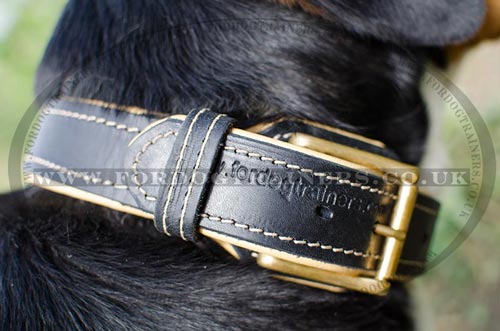 Padded Dog Collars | Swiss Mountain Dog Soft Leather Dog Collars
