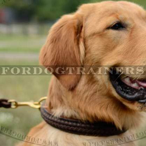 Braided Dog Collar for Golden Retriever Choke Design