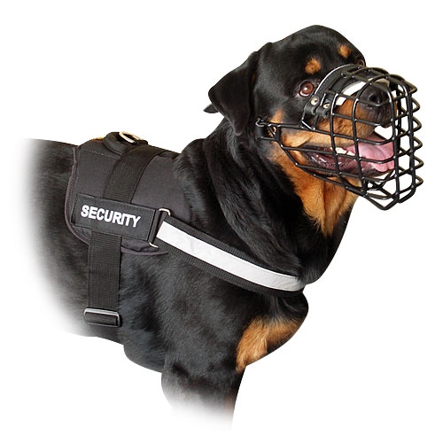  Rottweiler reflective dog harness UK