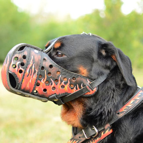 Rottweiler Muzzle with Original Painting "Flame"