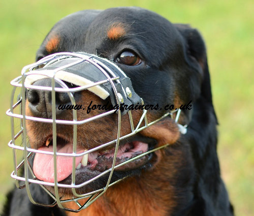Rottweiler Muzzles UK | Wire Dog Muzzle Perfect for Large Dogs