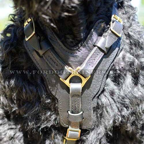 Russian Terrier UK Dog Harness | Dog Leather Harness