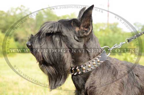 Dog Leather Collars Spiked and Studded for Middle and Large Dogs