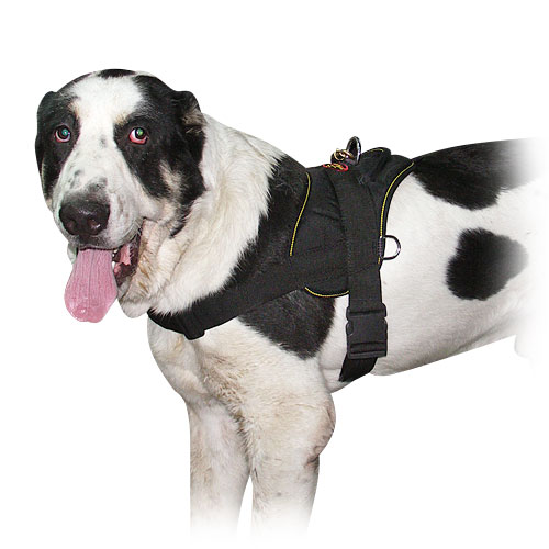 Sarmatian Mastiff Harness | Large Dog Harness with Handle