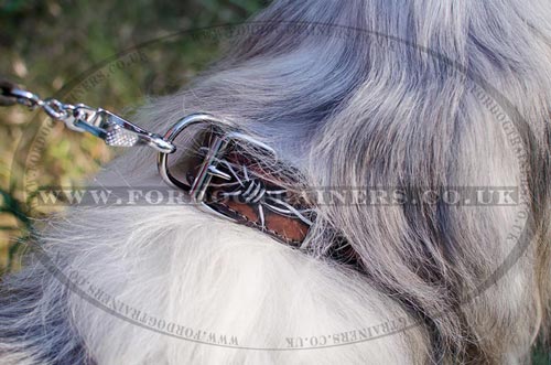 South Russian Shepherd Dog Collar with Hand-Painting WIRE