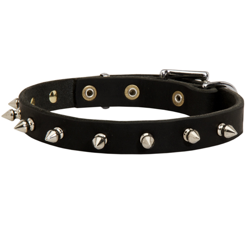 Spiked Dog Collar Strong Leather - Click Image to Close