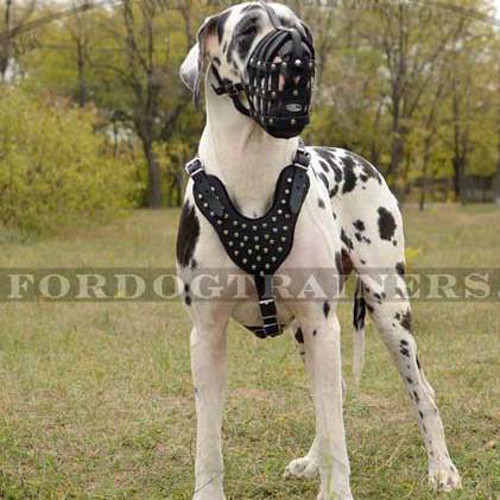 Great Dane Dog Harness with Pyramids Design