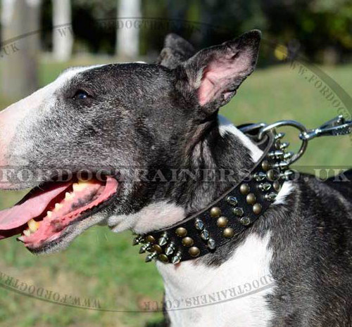 Spiked Design Leather Dog Collar for Bull Terrier - Click Image to Close