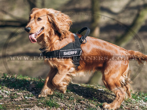 Multipurpose Nylon Anti Pulling Dog Harness for Cocker Spaniel