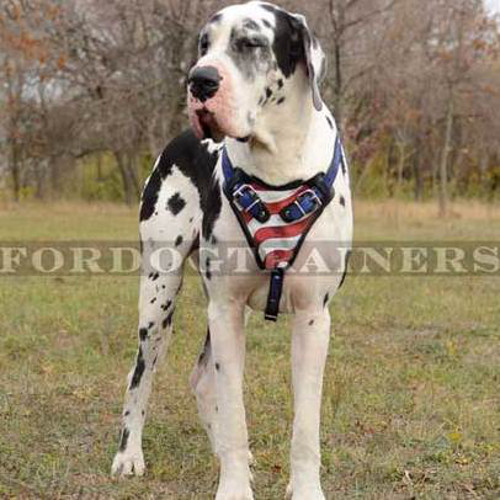 Padded Dog Harness for Strong Dog Training "American Pride"