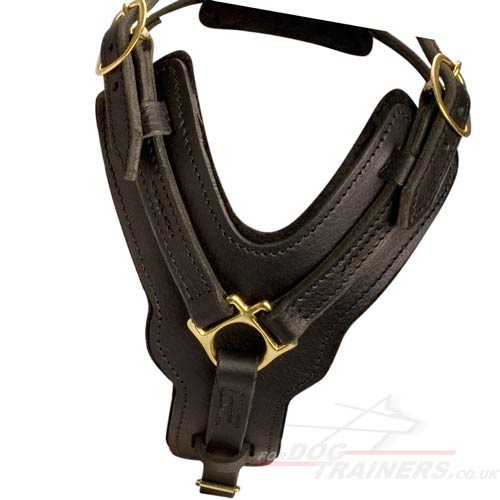 Large Leather Dog Harness UK Bestseller K9 Padded - Click Image to Close