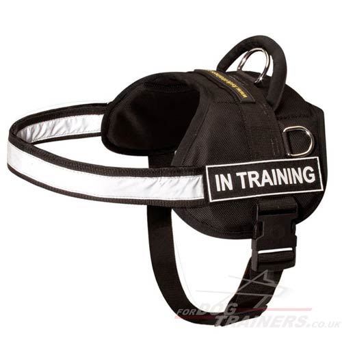 The Best Reflective Dog Harness with High Vis Strap and Patches