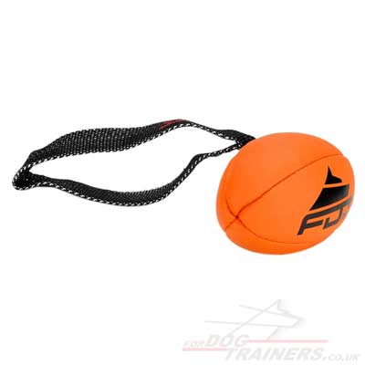 Dog deals rugby ball
