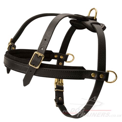 Best Large Dog Harness for Pulling with D Rings & Padded Chest - Click Image to Close